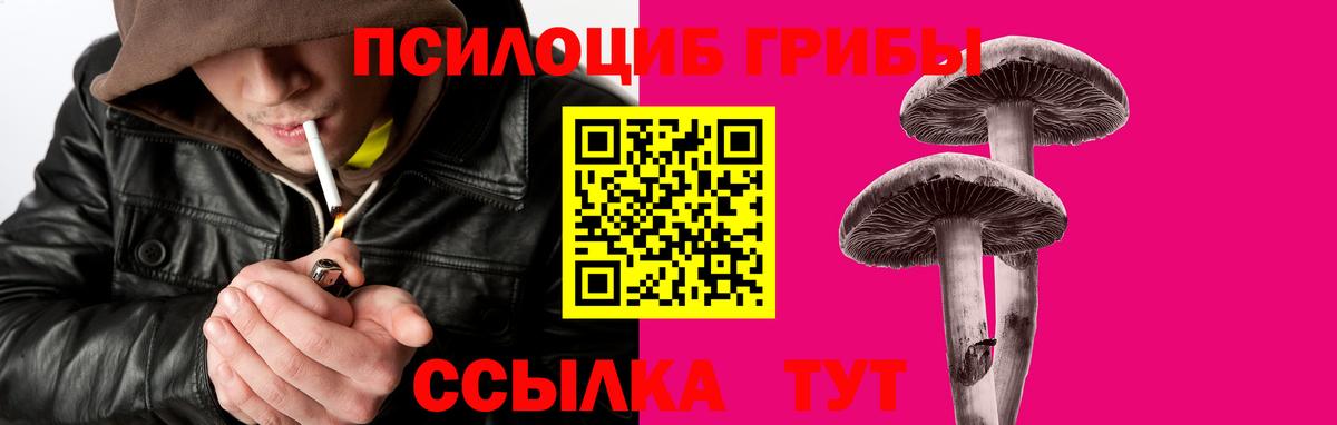 Бийск  Псилоцибиновые грибы прущие грибы  Вход с VPN 